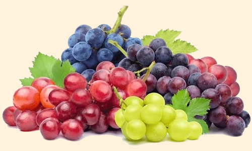 grapes_home_con