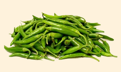 green_chilli_home_icon