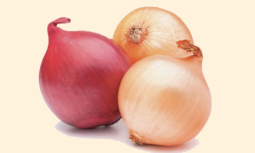 onion_home_icon