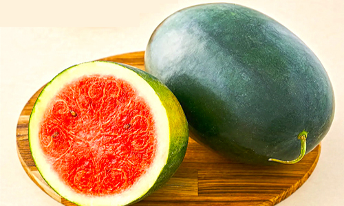 watermelon_home_icon