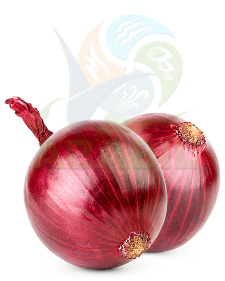 onion_main