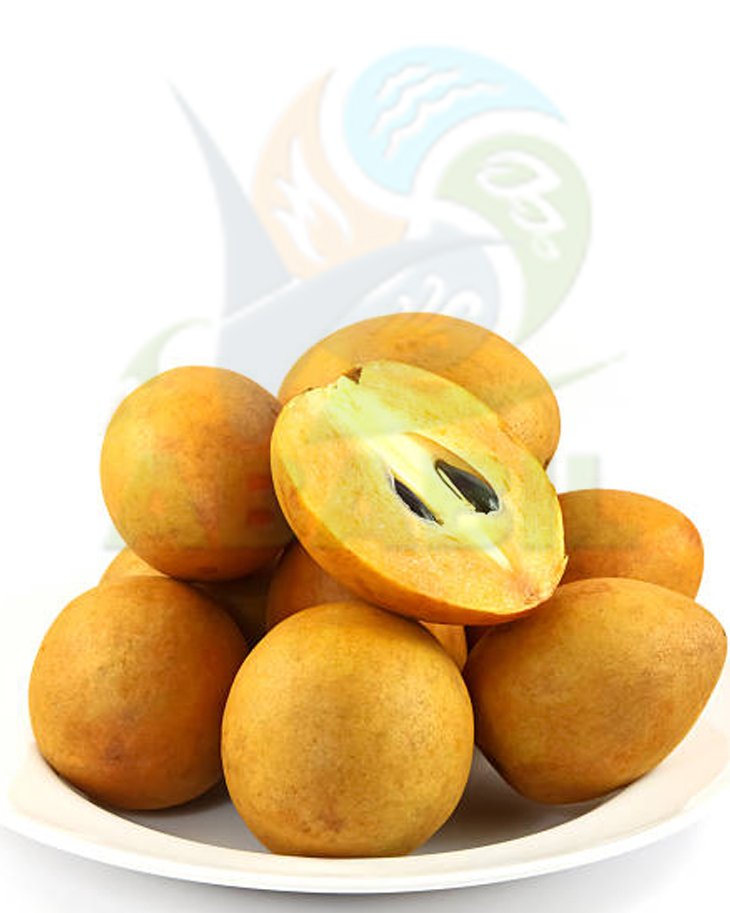 sapodilla_main