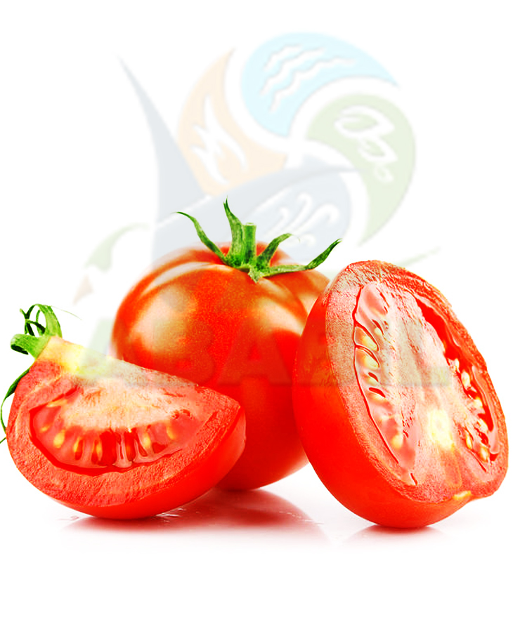 tomato_main